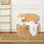 Water Hyacinth Toilet Paper Basket with Lid – Holds 6 Rolls