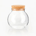 Glass Jar With Cork Lid 500ml – Airtight Food Jar for Kitchen